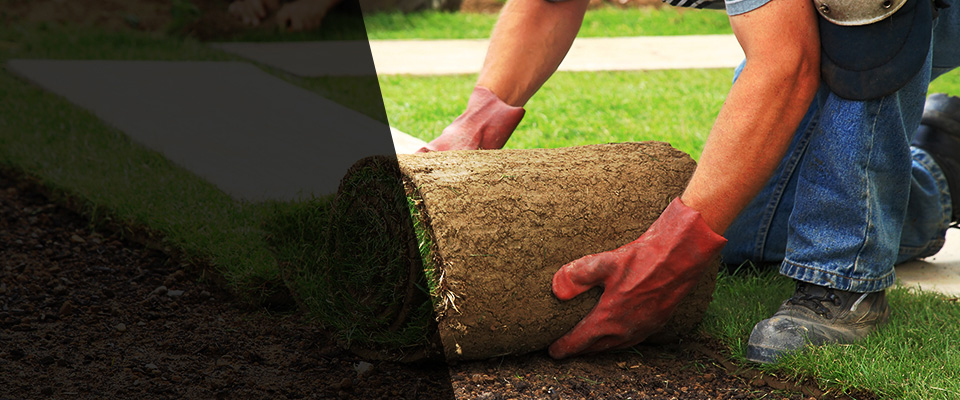 Saint Stephen Landscapers